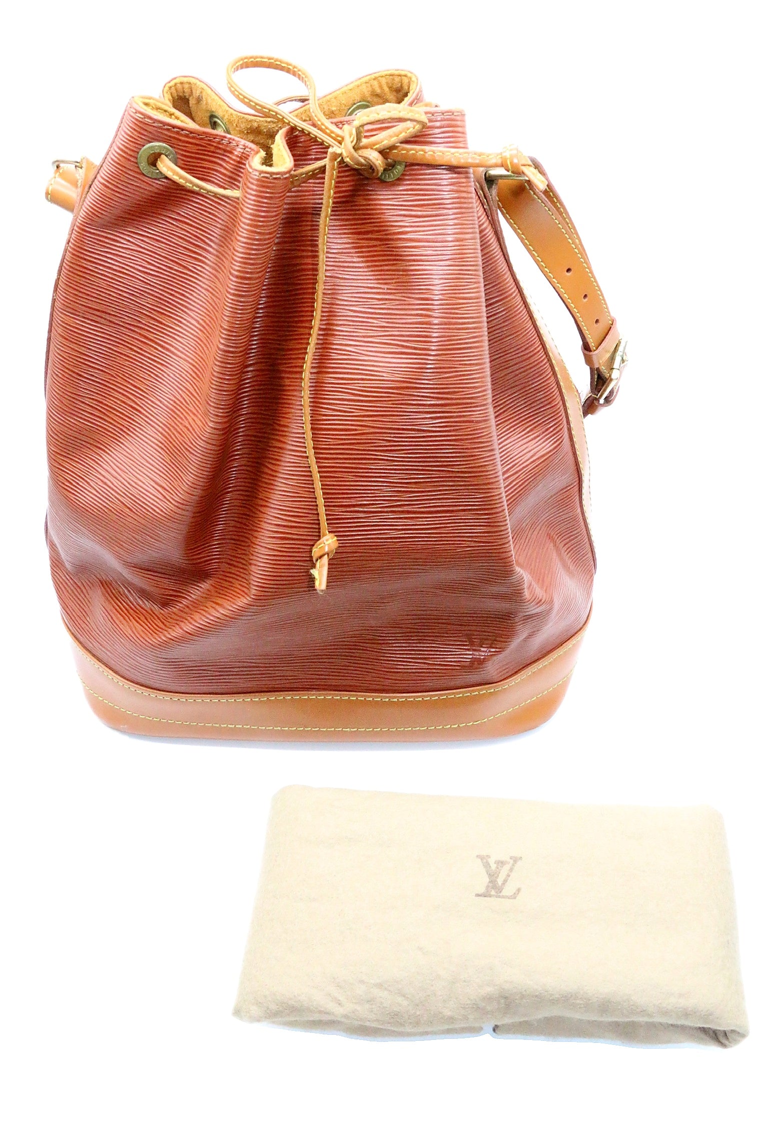 Louis Vuitton Noe Bucket Bag