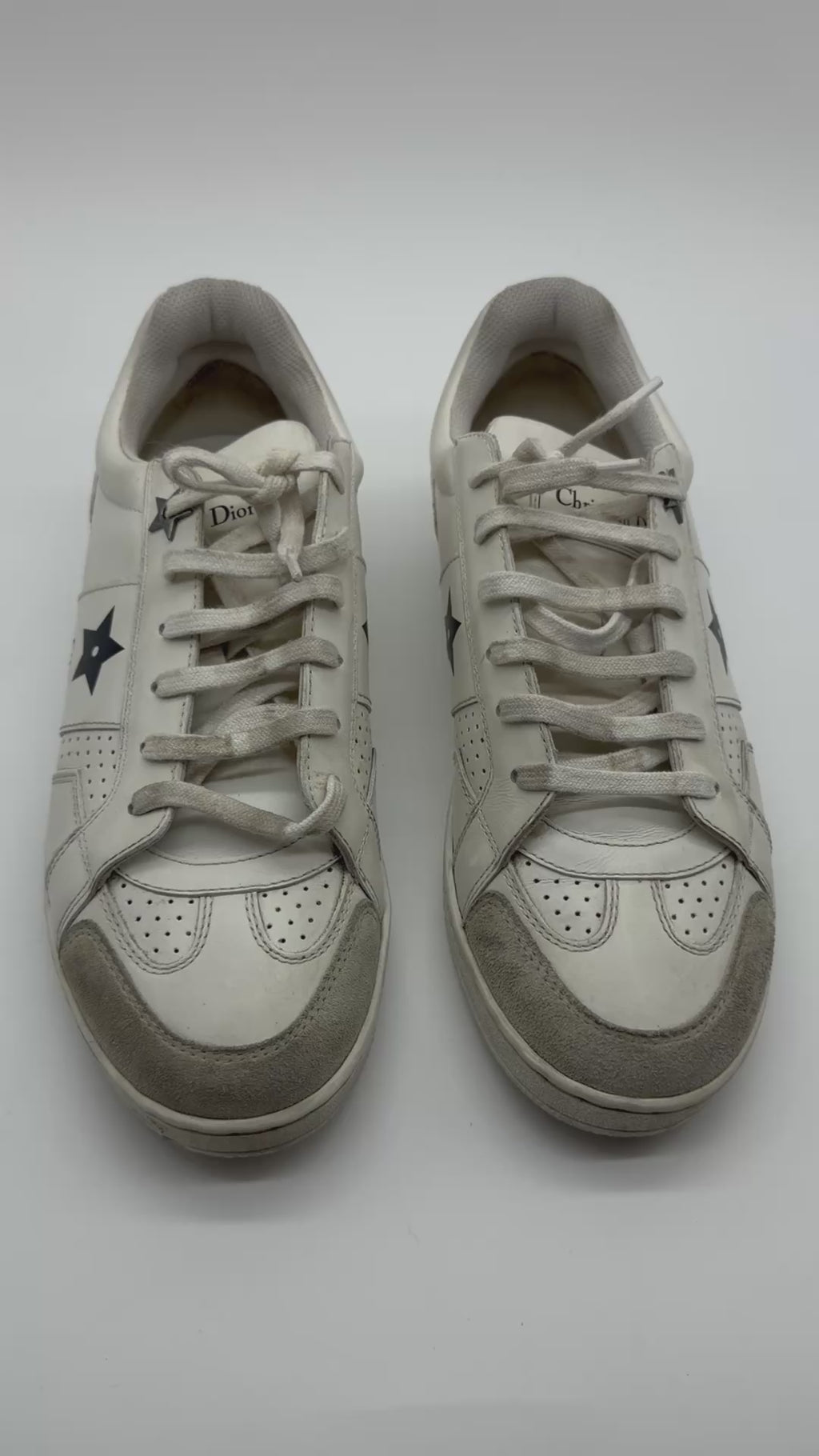 Dior Star Sneakers